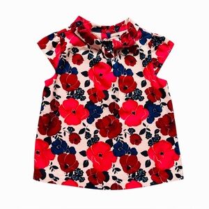 Janie and Jack pink and Blue Floral Blouse